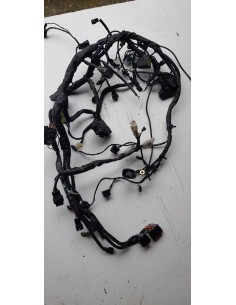 Faisceau électrique KAWASAKI ER6F 650 2006 - 2009