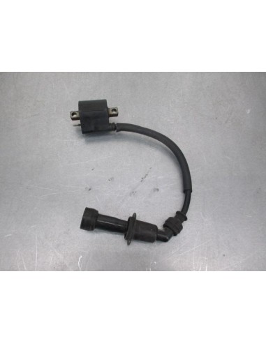Bobine d'allumage  SUZUKI DR 800 1990  -  1997