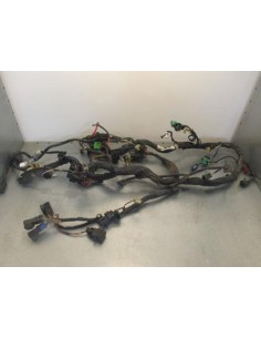 Faisceau électrique SUZUKI BURGMAN 650 2001  -  2005