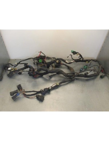 Faisceau électrique SUZUKI BURGMAN 650 2001  -  2005