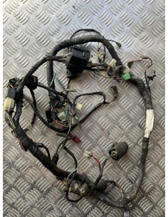 Faisceaux électrique KAWASAKI ER5 1996  -  2006