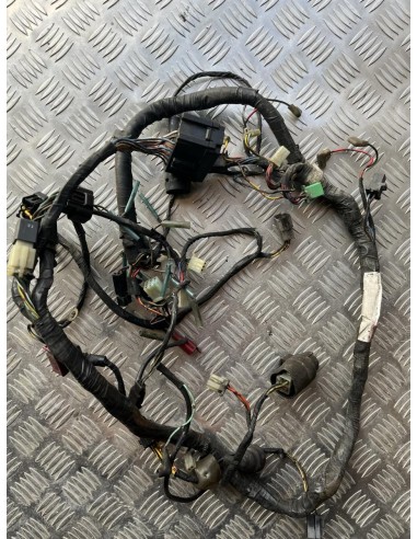 Faisceaux électrique KAWASAKI ER5 1996  -  2006