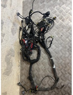 Faisceau éléctrique MV AGUSTA BRUTALE 2013 - 2016