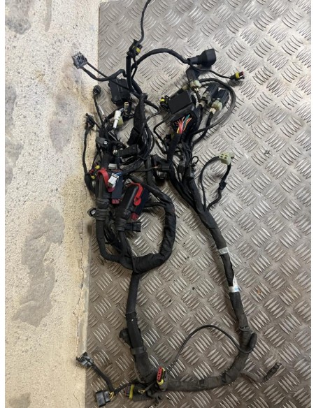 Faisceau éléctrique MV AGUSTA BRUTALE 2013 - 2016