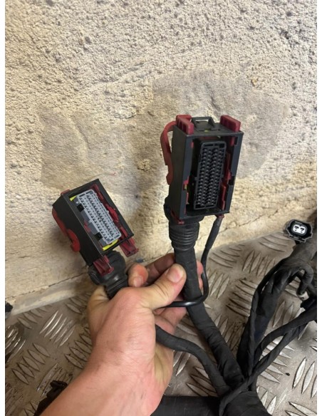 Faisceau éléctrique MV AGUSTA BRUTALE 2013 - 2016