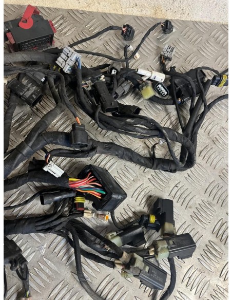 Faisceau éléctrique MV AGUSTA BRUTALE 2013 - 2016