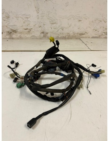 Faisceau éléctrique SUZUKI BANDIT 600 2000  -  2004