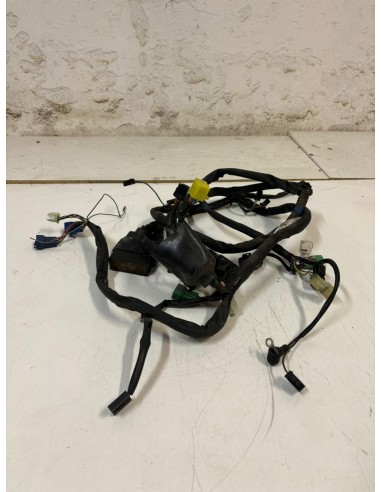 Faisceau éléctrique SUZUKI BANDIT 600 2000  -  2004