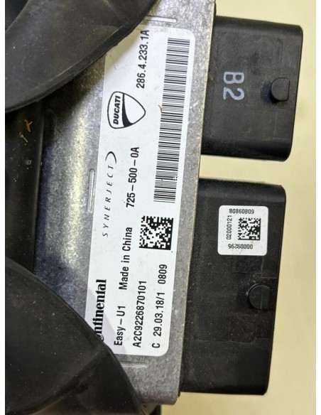 Kit neiman + CDI DUCATI SCRAMBLER 1100 2018 - 2020