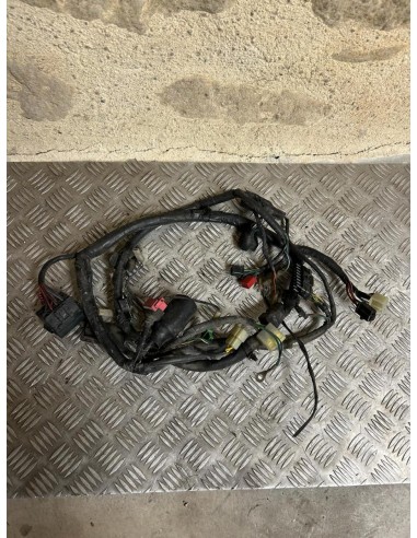 Faisceau électrique HONDA CB 500 S 1996  -  2003