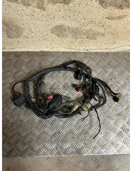 Faisceau électrique HONDA CB 500 S 1996  -  2003