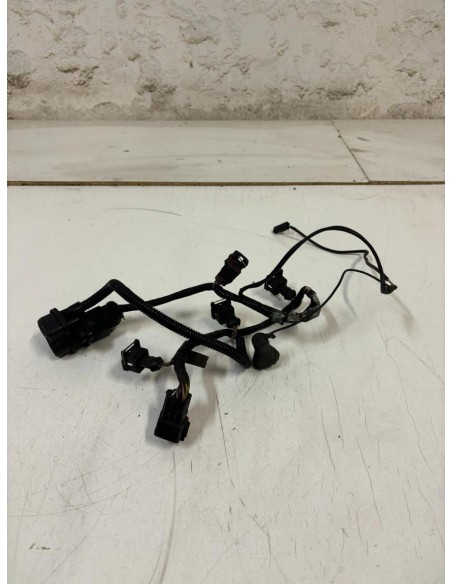 Faisceau d'injection TRIUMPH SPEED TRIPLE 955 1999  -  2004