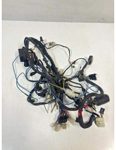 Faisceau éléctrique YAMAHA TDM 850 1991  -  1995