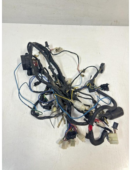 Faisceau éléctrique YAMAHA TDM 850 1991  -  1995