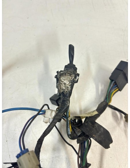 Faisceau éléctrique YAMAHA TDM 850 1991  -  1995