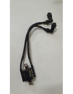 Bobine d'allumage cylindres 2 et 3 YAMAHA DIVERSION 600 1992  -  2002