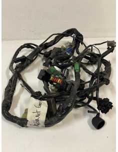 Faisceau électrique HONDA HORNET 600 2007  -  2013