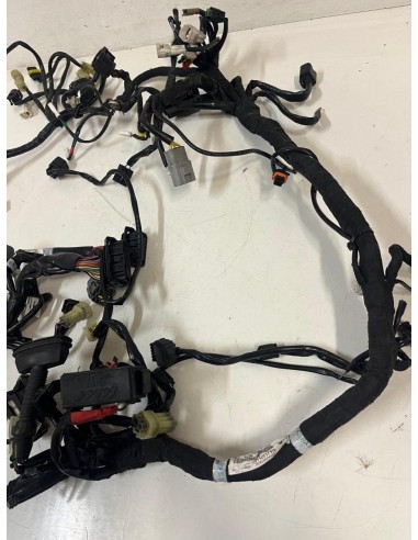Faisceau électrique complet KTM SUPERDUKE 1290 2017  -  2019