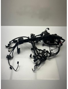 Faisceau électrique TRIUMPH STREET TRIPLE 765 2017  -  2019