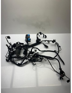 Faisceau électrique TRIUMPH STREET TRIPLE 765 2017  -  2019 2