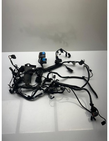 Faisceau électrique TRIUMPH STREET TRIPLE 765 2017  -  2019