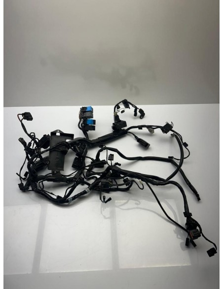 Faisceau électrique TRIUMPH STREET TRIPLE 765 2017  -  2019