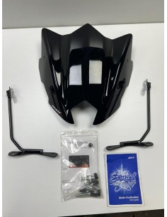 Bulle YAMAHA FZ8 2010 - 2011