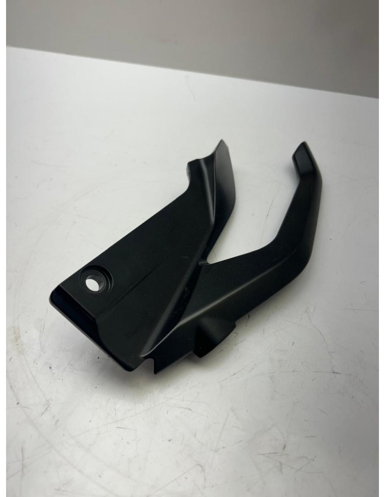 Poignée passager gauche BMW R 1250 R 2017 - 2024