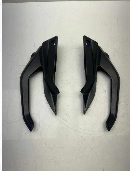 Poignées passager droit et gauche BMW R 1250 R 2017 - 2024