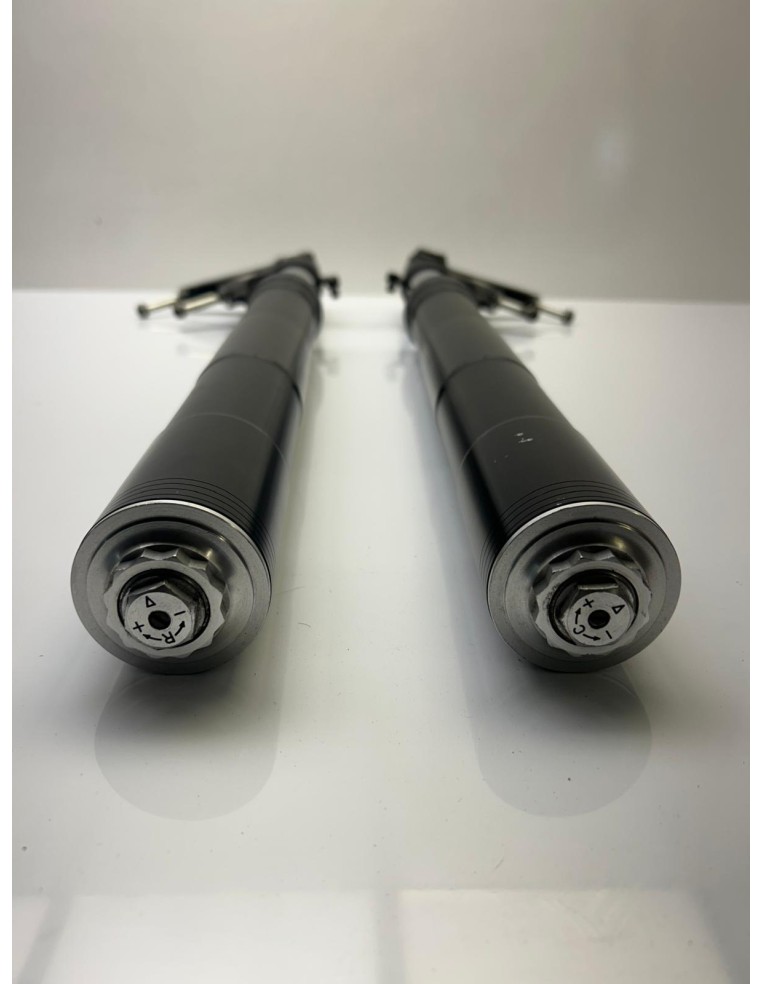 Fourche MV AGUSTA BRUTALE 1090 RR 2011 - 2012