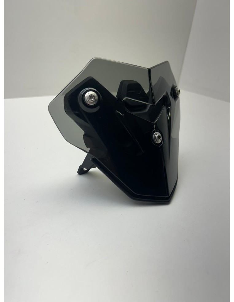 Bulle teintée avec support BMW F 900 2019 - 2025