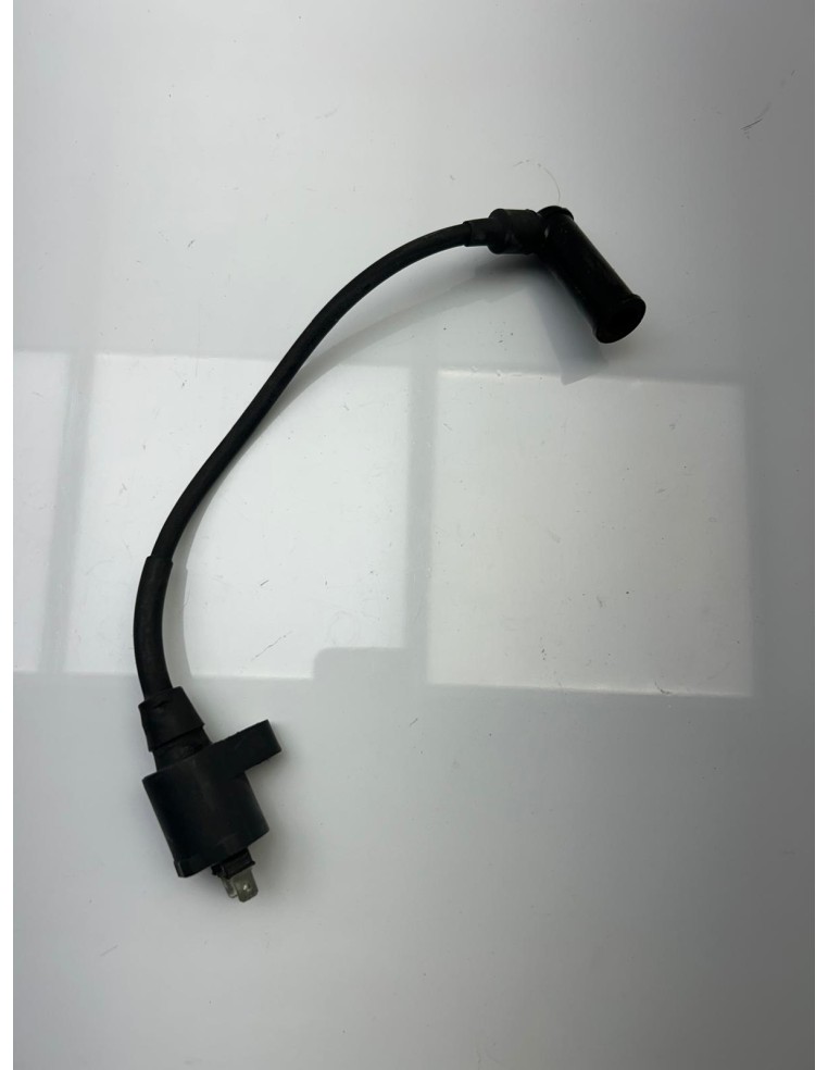 Bobine d'allumage PIAGGIO 125 XEVO 2007 - 2016