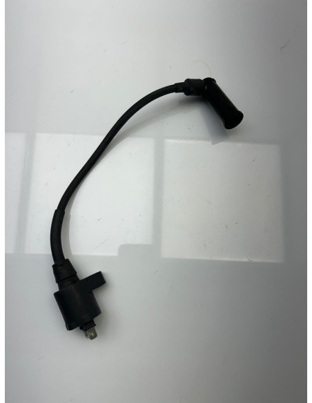 Bobine d'allumage PIAGGIO 125 XEVO 2007 - 2016