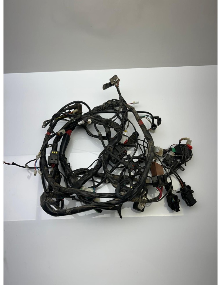 Faisceau PIAGGIO 125 XEVO 2007 - 2016