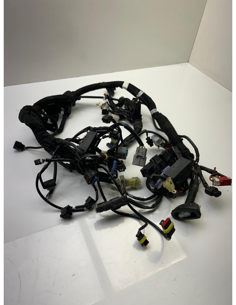 Faisceau KTM DUKE 890 2018 - 2024