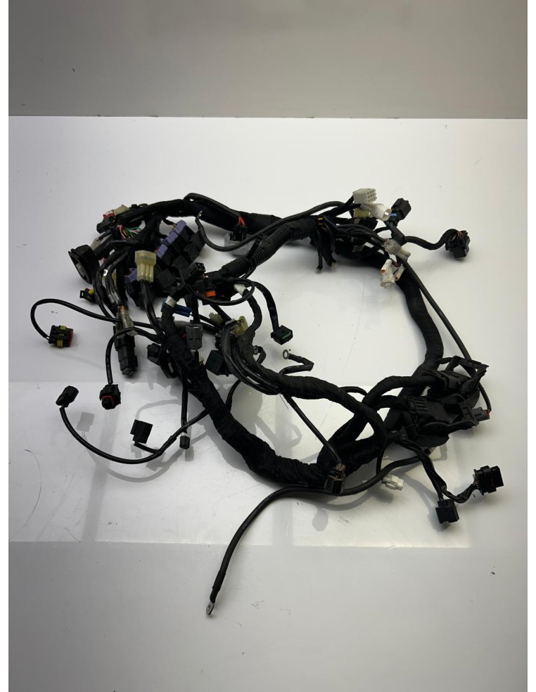 Faisceau KTM DUKE 890 2018 - 2024