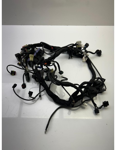 Faisceau KTM DUKE 890 2018 - 2024