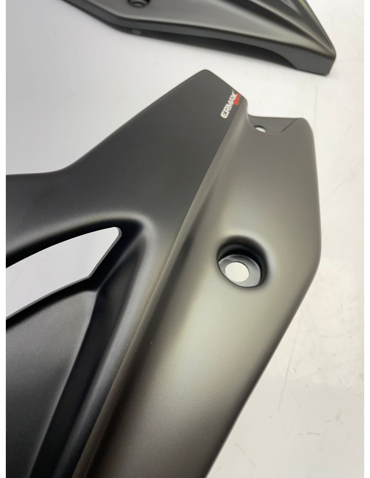 Paire sabots moteur ERMAX pour KAWASAKI Z 900 années 2017 / 2019 890309600